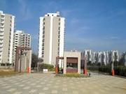 2 BHK 1050 Sq Ft Apartment In Mapsko Paradise, Sector...