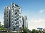 2 BHK 1145 Sq Ft Apartment In Olympia Opaline Sequel,...