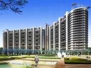 2 BHK 1209 Sq Ft Apartment In ILD Greens, Sector 37C,...
