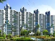 2 BHK 1297 Sq Ft Apartment In Spaze Privy The Address,...