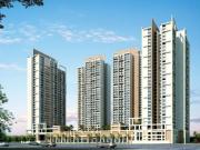 2 BHK 1342 Sq Ft Apartment In Kalpataru Radiance,...