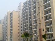 2 BHK 1350 Sq Ft Apartment In Omaxe New Heights, Sector... 2 BHK 1350 Sq Ft Apartment In Omaxe New Heights, Sector...