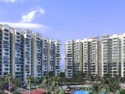 2 BHK 1350 Sq Ft Apartment In Parker VRC White Lily,...