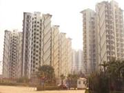 2 BHK 1366 Sq Ft Apartment In M3M Woodshire, Sector 107,...