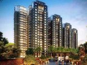 2 BHK 1519 Sq Ft Apartment In Sobha City Casa Serenita,...