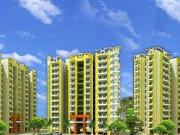 2 BHK 920 Sq Ft Apartment In High End Paradise 1, Raj...