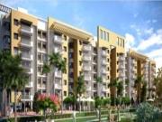 2 BHK 945 Sq Ft Apartment In OM Divine World Apartments,...