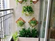 2 BHK Apartment in Ameenpur for resale Hyderabad. The...