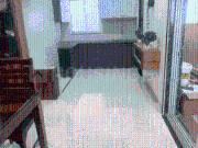 2 BHK Apartment in Bawadiya Kalan for rent Bhopal. The...