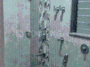 2 BHK Apartment in Borivali East for rent Mumbai. The...