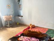 2 BHK Apartment in Civil Lines for rent Chandrapur. The...