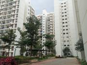 2 BHK Apartment in Dasanapura for rent Bangalore. The...