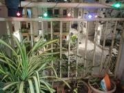 2 BHK Apartment in Gahunje for resale Pune. The...