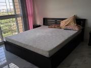 2 BHK Apartment in Goregaon East for rent Mumbai. The...