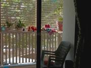 2 BHK Apartment in Gota for rent Ahmedabad. The...