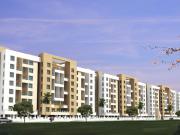 2 BHK Apartment in Hadapsar for rent Pune. The reference...