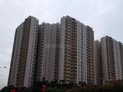 2 BHK Apartment in Hadapsar for rent Pune. The reference...