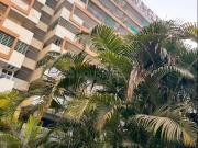 2 BHK Apartment in Hoshangabad Road for rent Bhopal. The...