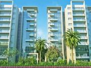 2 BHK Apartment in Jaypee Greens for rent Greater Noida....