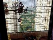 2 BHK Apartment in Kandivali East for resale Mumbai. The...