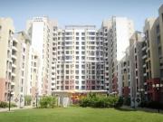 2 BHK Apartment in Kharghar for rent Navi Mumbai. The...