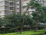 2 BHK Apartment in Lower Parel for rent Mumbai. The...