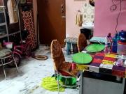 2 BHK Apartment in Maheshtala for resale West Kolkata....