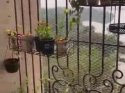 2 BHK Apartment in Malad West for rent Mumbai. The...