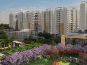 2 BHK Apartment in Mallasandra for resale Bangalore. The...