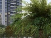 2 BHK Apartment in Mamurdi for resale Pimpri Chinchwad....