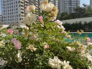 2 BHK Apartment in Mihan for resale Nagpur. The...