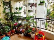 2 BHK Apartment in Munnekollal for rent Bangalore. The...