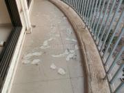 2 BHK Apartment in New Panvel East for rent Navi Mumbai....