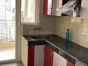 2 BHK Apartment in Noida Extension for rent Greater...