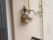 2 BHK Apartment in Noida Extension for rent Greater...