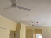 2 BHK Apartment in Noida Extension for rent Greater...