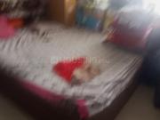 2 BHK Apartment in Pal for rent Surat. The reference...