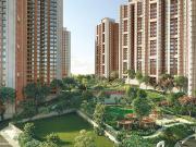 2 BHK Apartment in Panvel for rent Navi Mumbai. The...
