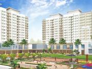 2 BHK Apartment in Panvel for rent Navi Mumbai. The...