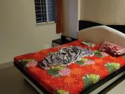 2 BHK Apartment in Parvati Darshan for rent Pune. The...