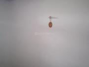 2 BHK Apartment in Patparganj for resale East Delhi. The...