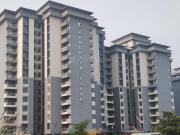 2 BHK Apartment in Phi II for rent Greater Noida. The...