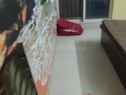 2 BHK Apartment in Pimple Nilakh for rent Pune. The...