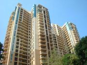 2 BHK Apartment in Powai for rent Mumbai. The reference...