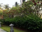 2 BHK Apartment in Punawale for resale Pimpri Chinchwad....