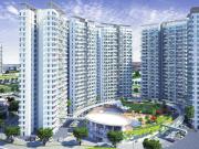 2 BHK Apartment in Punawale for resale Pimpri Chinchwad....
