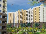 2 BHK Apartment in Raj Nagar Extension for rent...