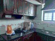 2 BHK Apartment in Ramapuram for rent Chennai. The...
