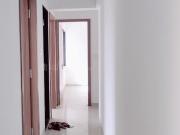 2 BHK Apartment in Renuka Nagar for rent Nashik. The...