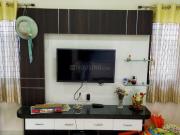 2 BHK Apartment in Savedi for rent Ahmednagar. The...